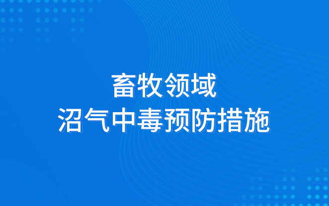 港澳免费资料全年资料大全